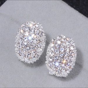 Last ONE!!  Cubic Elegant Sparkle Stud Earrings